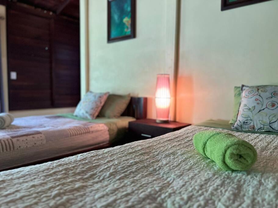 Casita Lidia Bijagua Bed and Breakfast Eksteriør billede