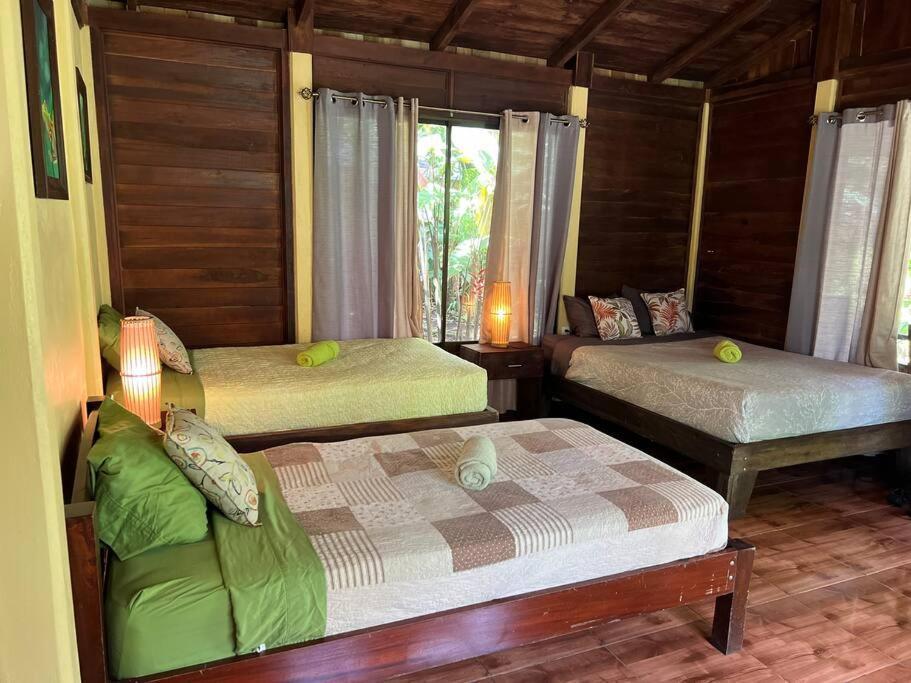 Casita Lidia Bijagua Bed and Breakfast Eksteriør billede